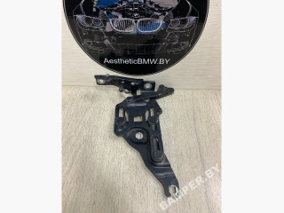петля капота BMW X5 E70 2007, 3.0 л., M57N2 306 D3, дизель, АКПП, внедорожник 5 дв., 7148348