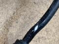 датчик ABS Alfa Romeo Giulia 2 поколение 952 2017, 2.0 л., бензин, АКПП, седан, 50555508, 50534053, 00505340530 - фото №2