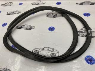 уплотнитель двери Alfa Romeo Stelvio 949 2021, 2.0 л., бензин, АКПП, внедорожник 5 дв., 50535249, 50549786
