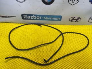 шланг омывателя Kia Rio 1 поколение [рестайлинг] 2004, 1.5 л., A5D, бензин, МКПП, универсал