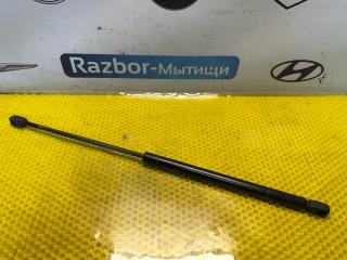 амортизатор крышки багажника (3-5 двери) Ford Focus 1 поколение [рестайлинг] 2005, 2.0 л., EDDB, бензин, АКПП, хетчбэк 5 дв., XS41-N406A10-AJ