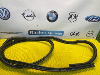 уплотнитель Ford Focus 1 поколение 2001, 2.0 л., EDDB, бензин, АКПП, седан