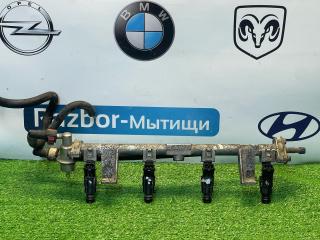 топливная рампа Ford Focus 1 поколение [рестайлинг] 2004, 1.8 л., бензин, хетчбэк 5 дв., 1260156819