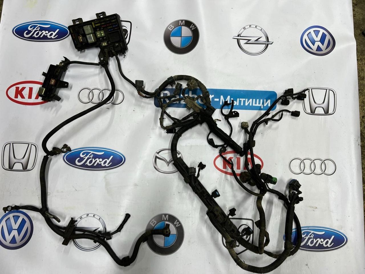 проводка подкапотная Honda Odyssey 1 поколение RA4 1999, 2.3 л., F23A, бензин, АКПП, синий, полный привод, правый руль - фото №1