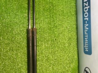 амортизатор крышки багажника (3-5 двери) Ford Focus 2 поколение BK 2006, 1.4 л., ASDB, бензин, желтый, купе, передний привод, 4M51-A406A10-AB, A406A0AB, RAZBCR-MBITUU0