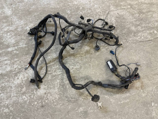 проводка двигателя Mercedes-Benz Vito W639 2008, 2.2 л., дизель, МКПП, минивэн, A6461500388