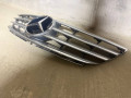 решетка радиатора Mercedes-Benz B-Класс W245 2008, бензин, АКПП, MS279 - фото №2