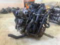 двигатель Volkswagen Crafter 1 поколение 2010, 2.5 л., BJL, дизель, МКПП, микроавтобус, BJL - фото №5