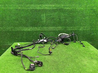 проводка двигателя BMW X3 G01 [рестайлинг] G01 2023, 2.0 л., B48 B20 A, бензин, АКПП, внедорожник 5 дв., полный привод, правый руль, 5A01D70, 12515A01D70