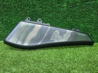 Накладка (сетка) динамика BMW X6 M F96 2020, 4.4 л., S63 B44 B, бензин, АКПП, marina bay blau metallic (c1k), внедорожник 5 дв., 9108292, 9108292