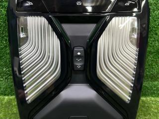 фонарь салона (плафон) BMW X3 G01 2020, 2.0 л., B46 B20 B, бензин, АКПП, a96, внедорожник 5 дв., задний привод, 5A0F608, 61315A0F608