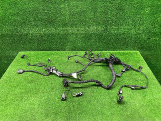 проводка двигателя BMW X3 G01 [рестайлинг] G01 2023, 2.0 л., B46 B20 B, бензин, внедорожник 5 дв., полный привод, 5A05D03, 12515A05D03