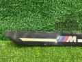 накладка на порог внутренняя BMW X6 M F96 2020, 4.4 л., S63 B44 B, бензин, АКПП, marina bay blau metallic (c1k), внедорожник 5 дв., 8095509, 51478095509, MWP8093309, 2003092.5120126, 8095509-01, 153913, RM0309202, 100572, 03092020, 80723 - фото №2