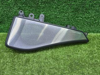 Накладка (сетка) динамика BMW X6 M F96 2020, 4.4 л., S63 B44 B, бензин, АКПП, marina bay blau metallic (c1k), внедорожник 5 дв., 6849116, 9108295