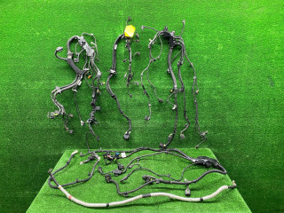 проводка двигателя BMW X7 G07 2021, 3.0 л., B58B30, бензин, АКПП, 416, внедорожник 5 дв., полный привод, 12519452239, 12539452243, 12519452241, 12518654410