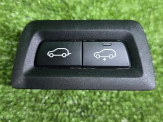 кнопка открытия багажника BMW X7 G07 [рестайлинг] G07 2024, 3.0 л., B58B30P, бензин, АКПП, black sapphire metallic (475), внедорожник 5 дв., полный привод, правый руль, 9860974, 61319860974