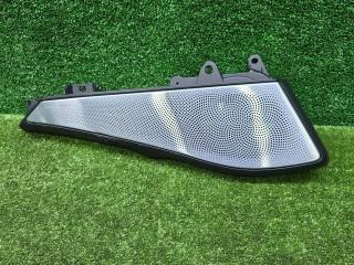 Накладка (сетка) динамика BMW X6 M F96 2020, 4.4 л., S63 B44 B, бензин, АКПП, marina bay blau metallic (c1k), внедорожник 5 дв., 9108295, 9108295