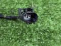 Подсветка порога BMW X6 G06 [рестайлинг] G06 2023, 3.0 л., B58B30P, бензин, АКПП, 416 carbon-schwarz, внедорожник 5 дв., полный привод, 7946663, 7946663 - фото №4