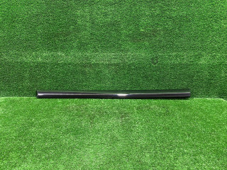 молдинг двери задней правой BMW X7 G07 2021, 3.0 л., B58B30, бензин, АКПП, 416, внедорожник 5 дв., полный привод, 8092878, 51138092878