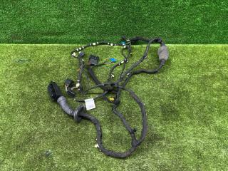 дверная проводка BMW X7 G07 [рестайлинг] G07 2024, 3.0 л., B58B30P, бензин, АКПП, black sapphire metallic (475), внедорожник 5 дв., полный привод, правый руль, 5A5B6B2, 5A5B6B2