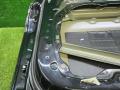 дверь передняя правая BMW X7 G07 [рестайлинг] G07 2024, 3.0 л., B58B30P, бензин, АКПП, black sapphire metallic (475), внедорожник 5 дв., полный привод, правый руль, 8738556, 41518738556 - фото №12