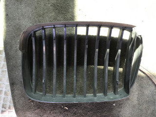 заглушка (решетка) в бампер BMW X5 E70 2009, 3.0 л., дизель, АКПП, внедорожник 5 дв., 8184532