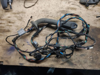 дверная проводка BMW X5 E70 2007, 4.8 л., N62 B48 A, бензин, 9116978