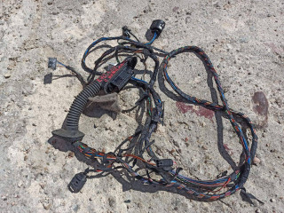 дверная проводка BMW X5 E70 [рестайлинг] 2013, 3.0 л., N55 B30 A, бензин