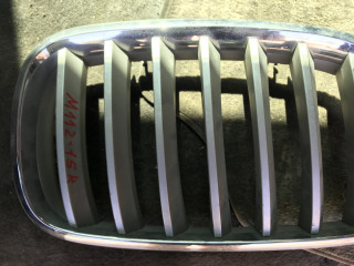 заглушка (решетка) в бампер BMW X5 E70 2009, 3.0 л., дизель, АКПП, внедорожник 5 дв.