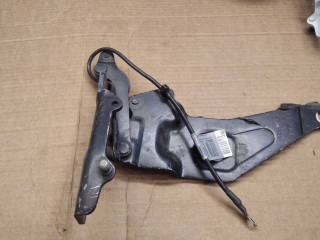 петля капота правая BMW X5 E70 2009, 3.0 л., дизель, АКПП, внедорожник 5 дв., 7208628