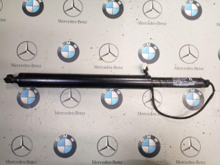 амортизатор крышки багажника (3-5 двери) BMW iX I20 2024, 7954154