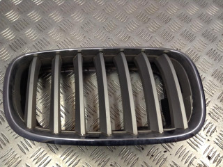 заглушка (решетка) в бампер BMW X5 E70 2008, 4.8 л., N62 B48 B, бензин, АКПП, белый, внедорожник 5 дв.