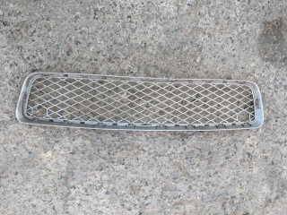 заглушка (решетка) в бампер BMW X5 E70 2008, 4.8 л., N62 B48 B, бензин, АКПП, внедорожник 5 дв.