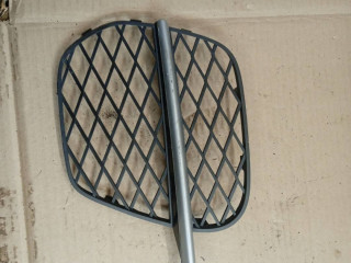 заглушка (решетка) в бампер BMW X5 E70 [рестайлинг] 2013, 4.4 л., N63 B44 A, бензин, 7222858