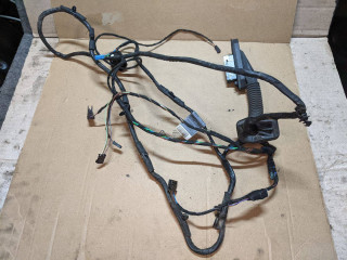 дверная проводка BMW X5 E70 2009, 3.0 л., дизель, АКПП, внедорожник 5 дв., 9203302