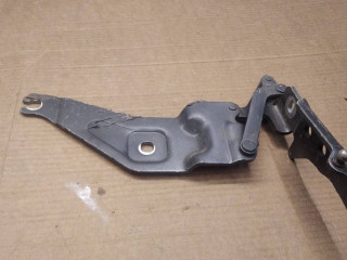 петля капота левая BMW X5 E70 2009, 3.0 л., дизель, АКПП, внедорожник 5 дв., 7208627