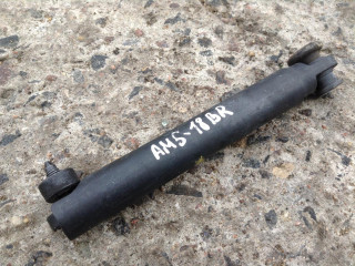 Амортизатор заднего борта BMW X5 E70 2007, 3.0 л., N52 B30 A, бензин, АКПП, внедорожник 5 дв.