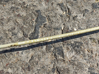 трос двери BMW X3 F25 2012, 2.0 л., дизель, 7319353