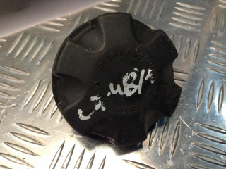 пробка расширительного бачка BMW 3 серия E90/E91/E92/E93 [рестайлинг] 2008, 3.0 л., дизель, АКПП, купе