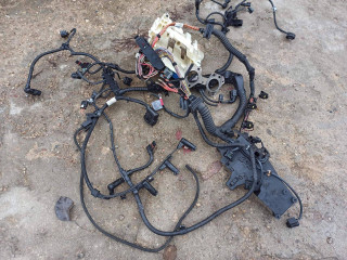 проводка двигателя BMW 3 серия E90/E91/E92/E93 [рестайлинг] 2008, 2.0 л., N47 D20 C, дизель, 7810210, 8505097