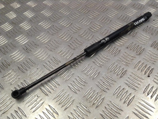 амортизатор крышки багажника (3-5 двери) BMW 2008, 2.0 л., N47 D20 A, дизель, АКПП, хетчбэк 5 дв.