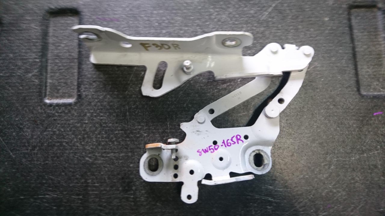 петля капота правая BMW 3 серия F30/F31/F34 2013, 3.0 л., N57 D30 A, дизель, АКПП, седан, 7336700 - фото №1