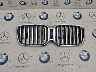 решетка радиатора BMW 2023, a300, 7931236