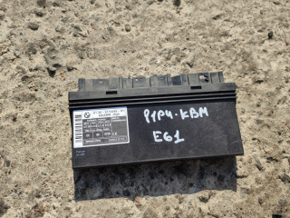 Блок управления BCM (Body Control Module) BMW 5 серия E60/E61 2006, 3.0 л., дизель, АКПП, синий, седан, 9114448