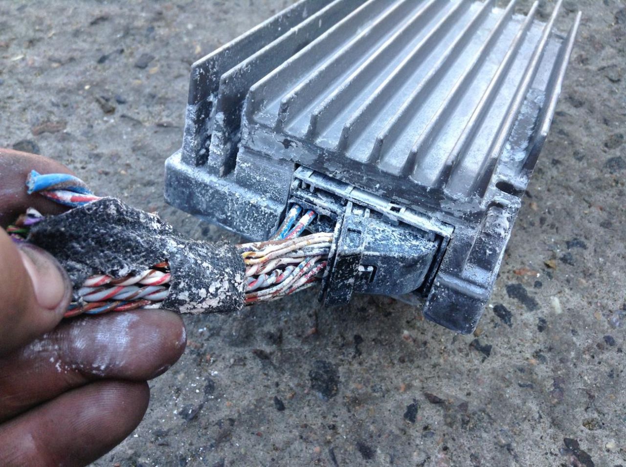 усилитель музыкальный BMW 2013, 2.0 л., N20 B20 A, бензин, АКПП, седан, 9283511 - фото №1