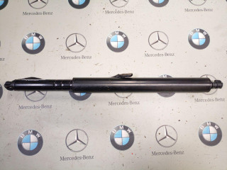 амортизатор крышки багажника (3-5 двери) BMW iX I20 2024, 7954153