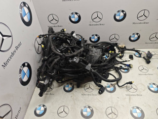 проводка двигателя BMW 2025, 3.0 л., бензин, 5A2A789, 5A59435