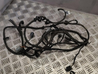 проводка датчиков парковки BMW 7 серия E65/E66/E67 [рестайлинг] 2006, 4.8 л., бензин, 6945424