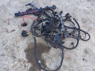 проводка двигателя BMW 2011, 2.5 л., N52 B25 AF, бензин