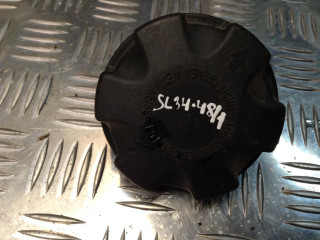 пробка расширительного бачка BMW X6 E71/E72 2008, 3.0 л., дизель, АКПП, внедорожник 5 дв.